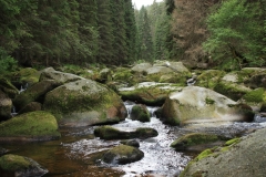 Šumava 2015 062