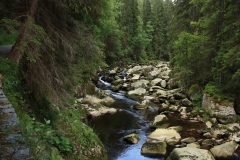 Šumava 2015 074