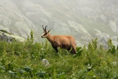 Vysoké Tatry 2018 990